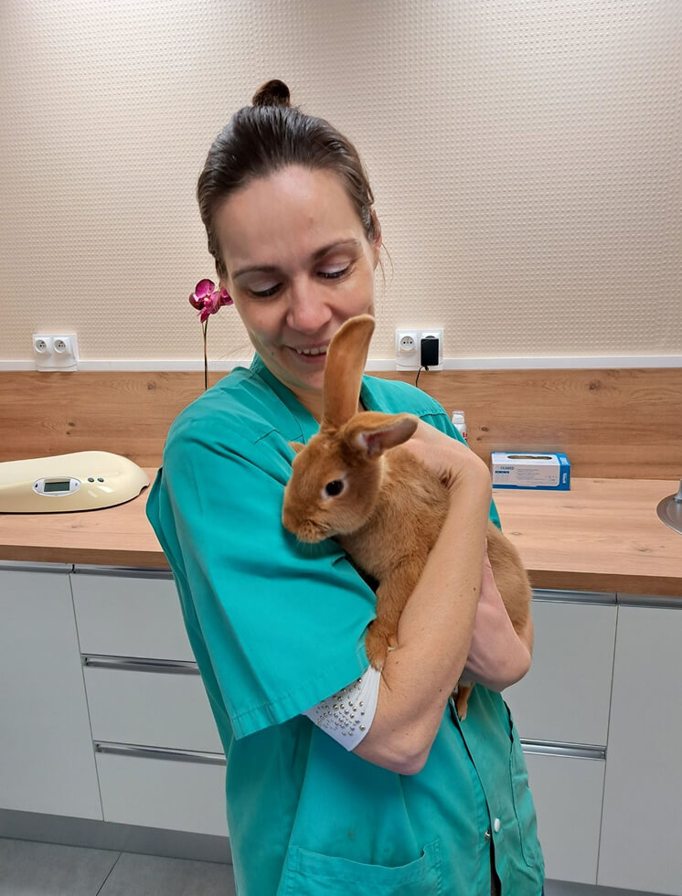 CP-Clinique-1 Vétérinaire portant un lapin