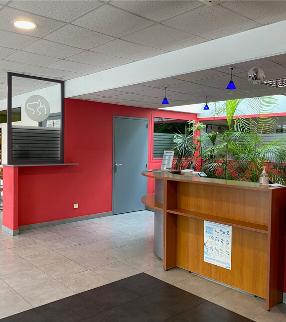 CP-Contact-2 Contact clinique vétérinaire Vittel