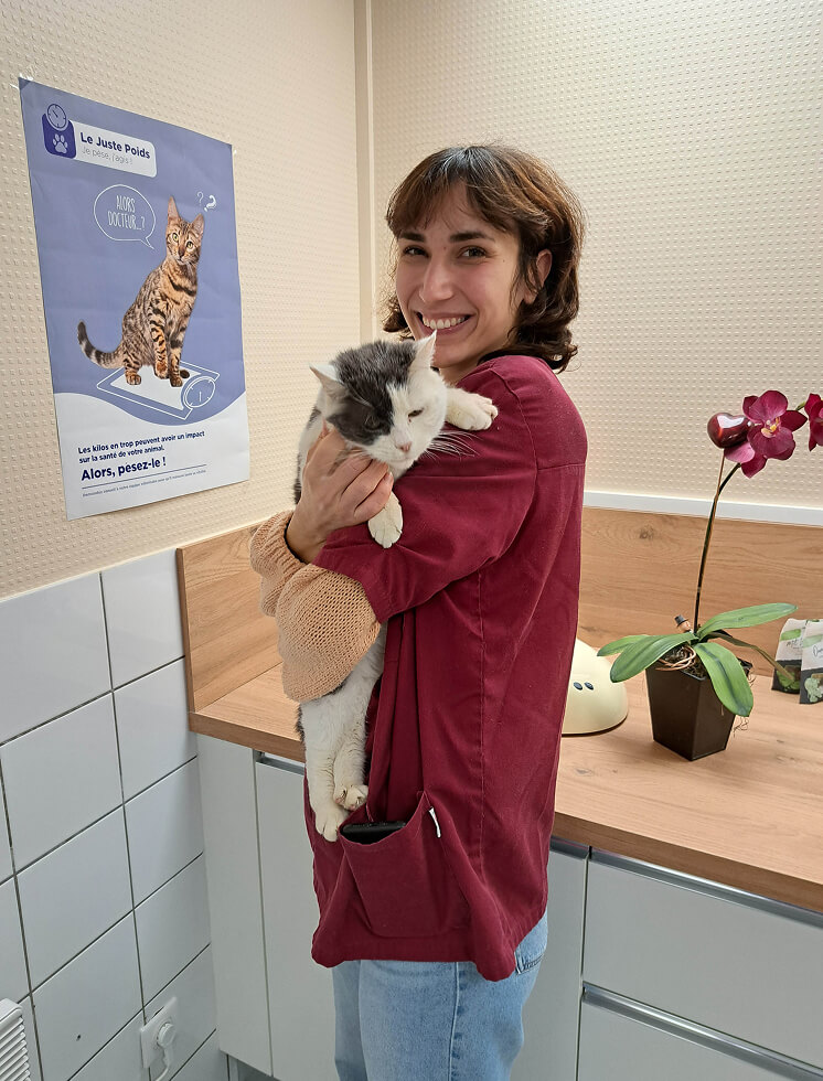 CP-Services-1 Vétérinaire prenant un chat dans ses bras